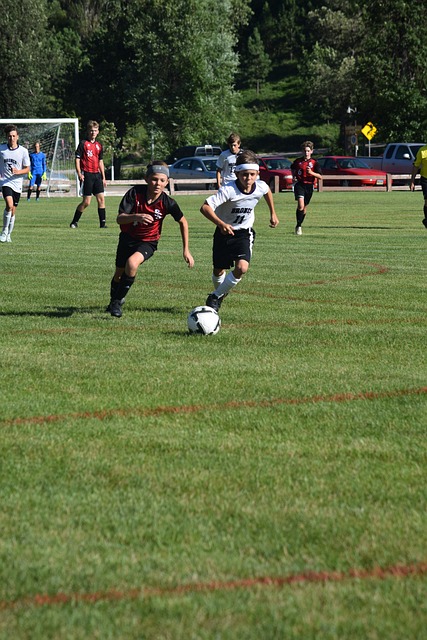 了无数关注 了无数关注