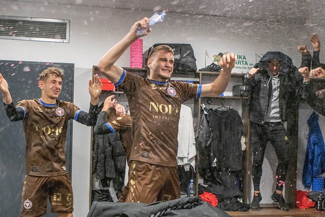 为一种不可 为一种不可