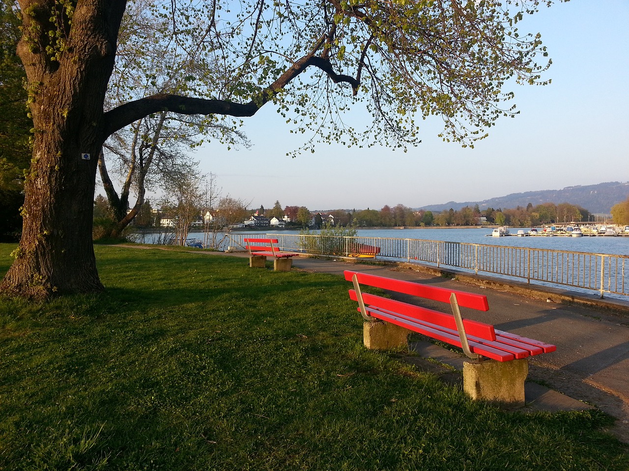 生涯谱写了 生涯谱写了