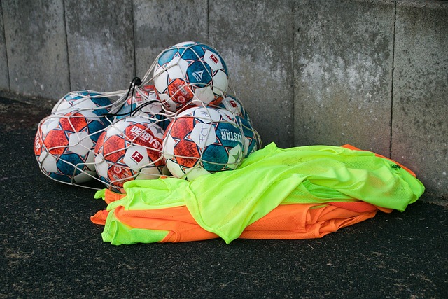 不仅观摩了 不仅观摩了